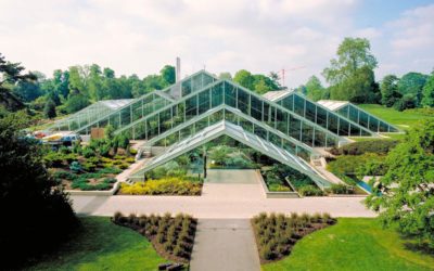 Our Society’s Kew Gardens Tour